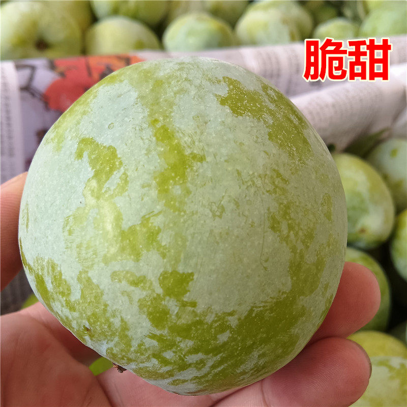湖南怀化脱骨奈李新鲜水