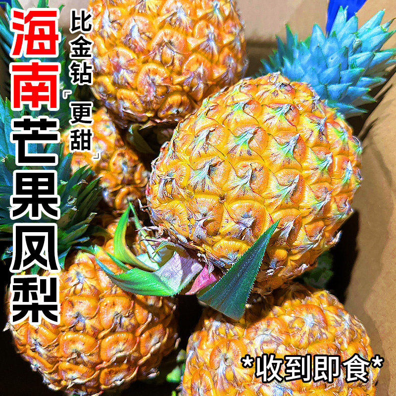 正宗海南芒果凤梨8斤新鲜水果应当季现摘自然熟金钻香水凤梨菠萝3