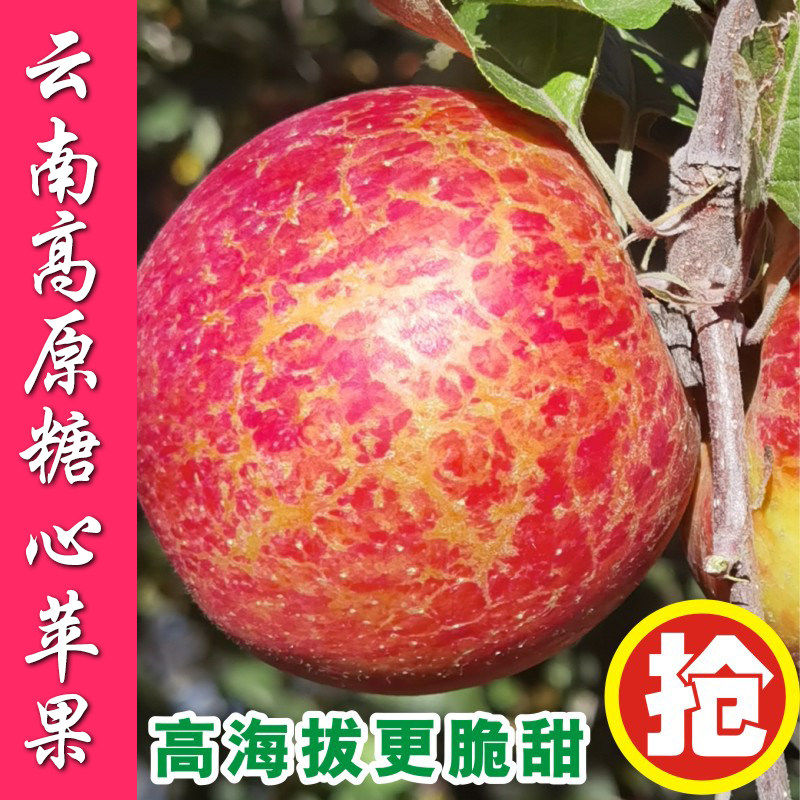 云南高原正宗丑苹果冰糖心大理丽江昭通新鲜水果红富士纯甜现摘包,包装,水果包装,淘宝优惠券,粉丝福利购,淘宝优惠卷