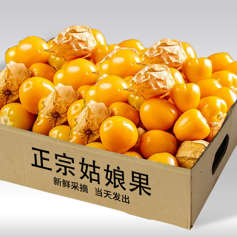 东北姑娘果当季新鲜水果5