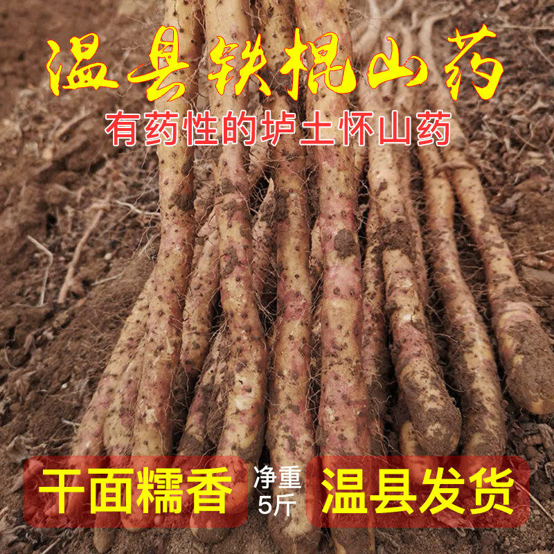 温县铁棍山药5斤正宗河南焦作特产垆土怀山药新鲜干面粉铁杆怀山
