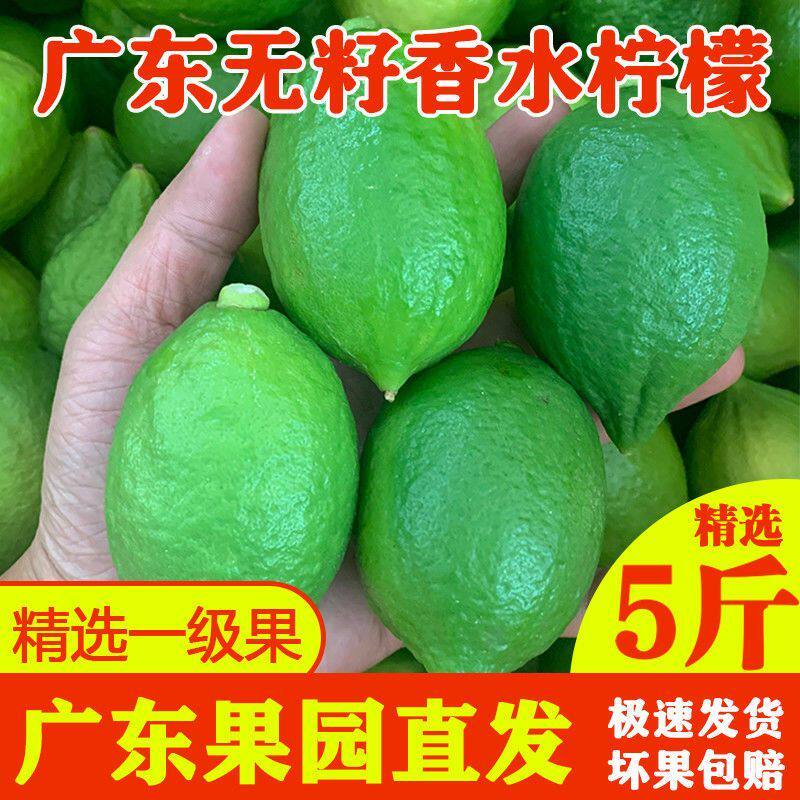 鸭屎香香水柠檬一级果5