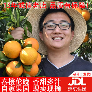 伦晚脐橙秭归当季现摘9斤京东包邮橙子新鲜水果超甜橙整箱手剥橙