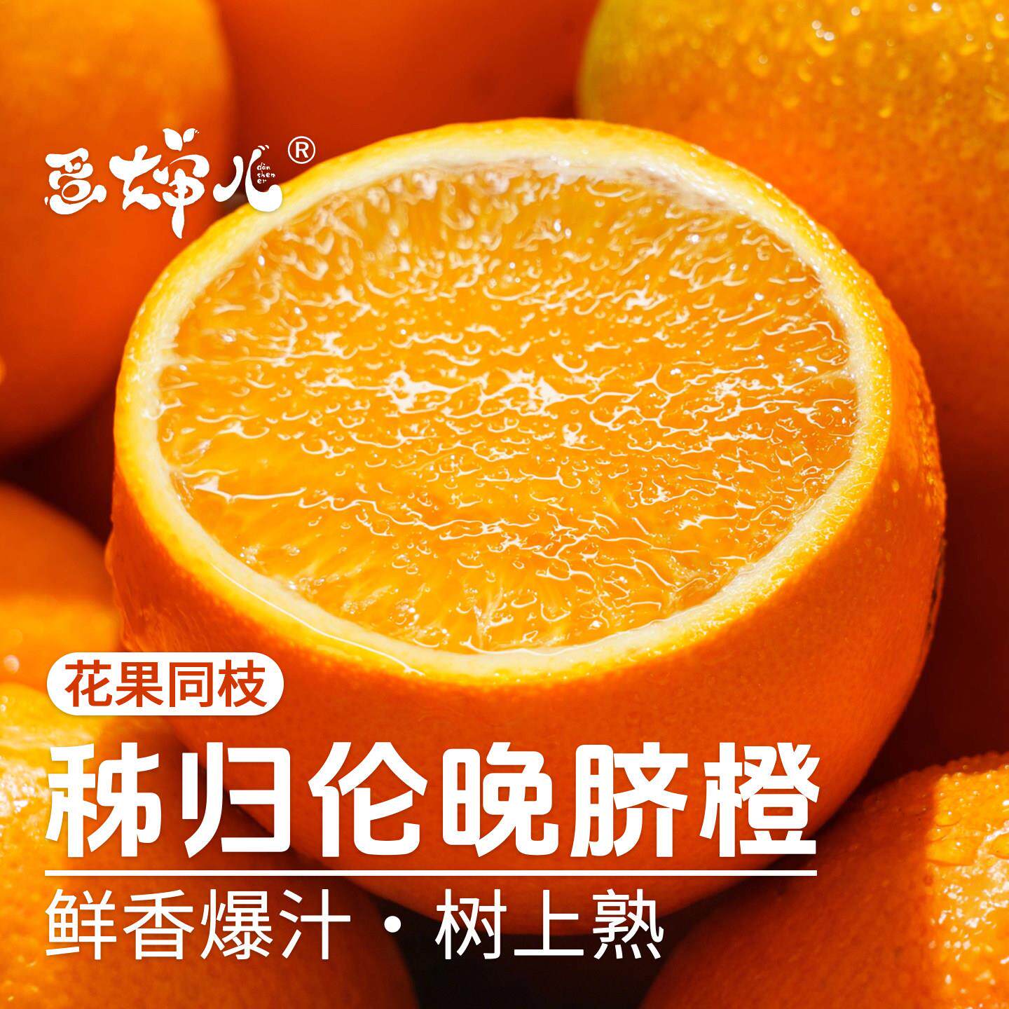 蛋婶儿伦晚脐橙秭归新鲜