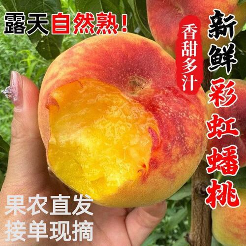 陕西彩虹毛蟠桃子新鲜水