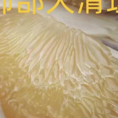 马站中魁老树四季柚子20斤含箱礼盒(边远地区不发)