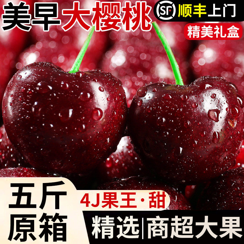 大连美早大樱桃5斤新鲜水