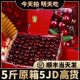 智利大樱桃新鲜水果进口桑提娜礼盒装 包邮 当季 整箱孕妇樱桃3j4j5j