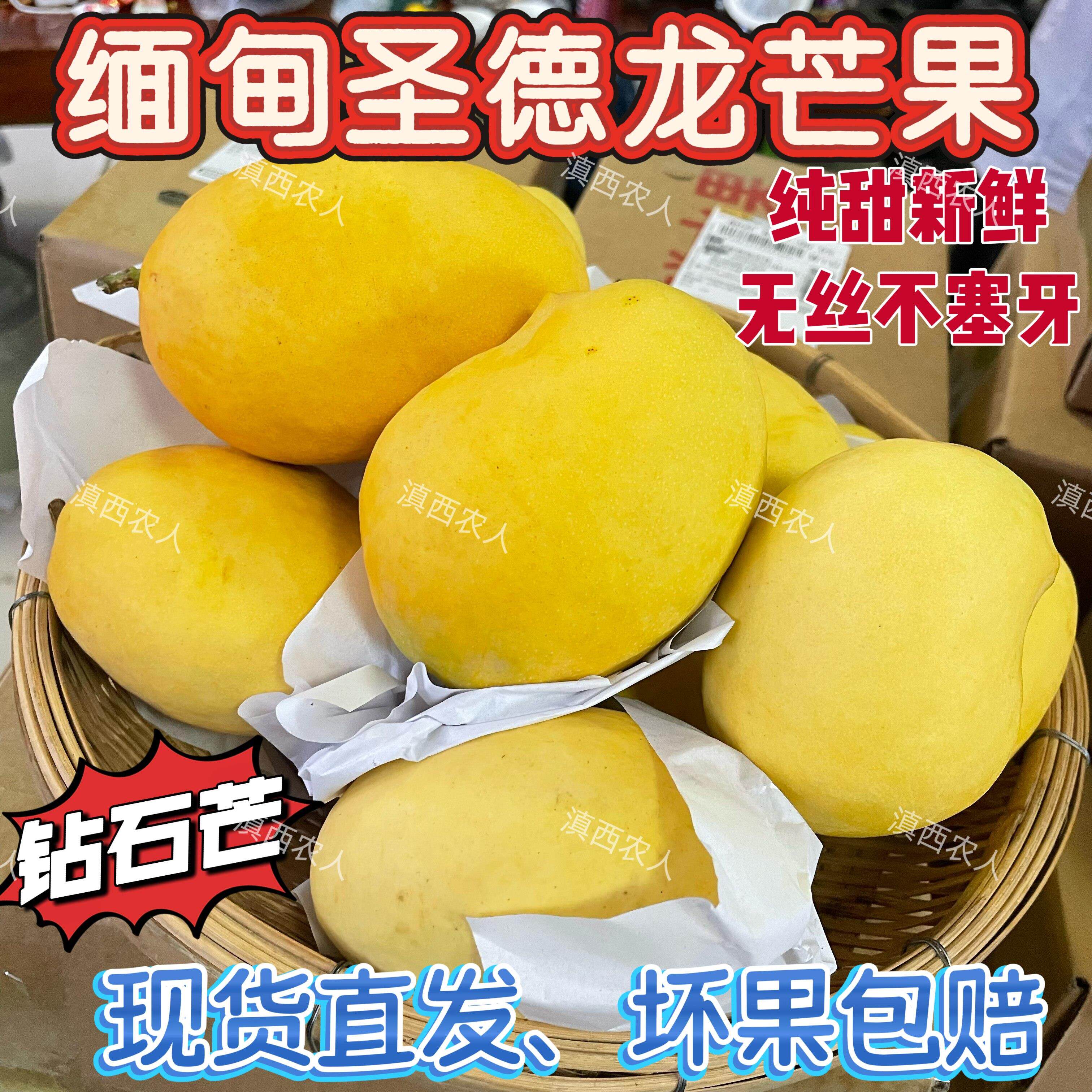 正宗缅甸圣德龙芒果钻石