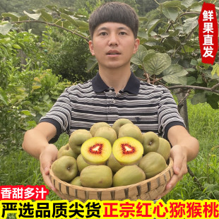 红心猕猴桃 特大巨无霸20枚果王 四川都江堰蒲江猕猴桃奇异果孕妇