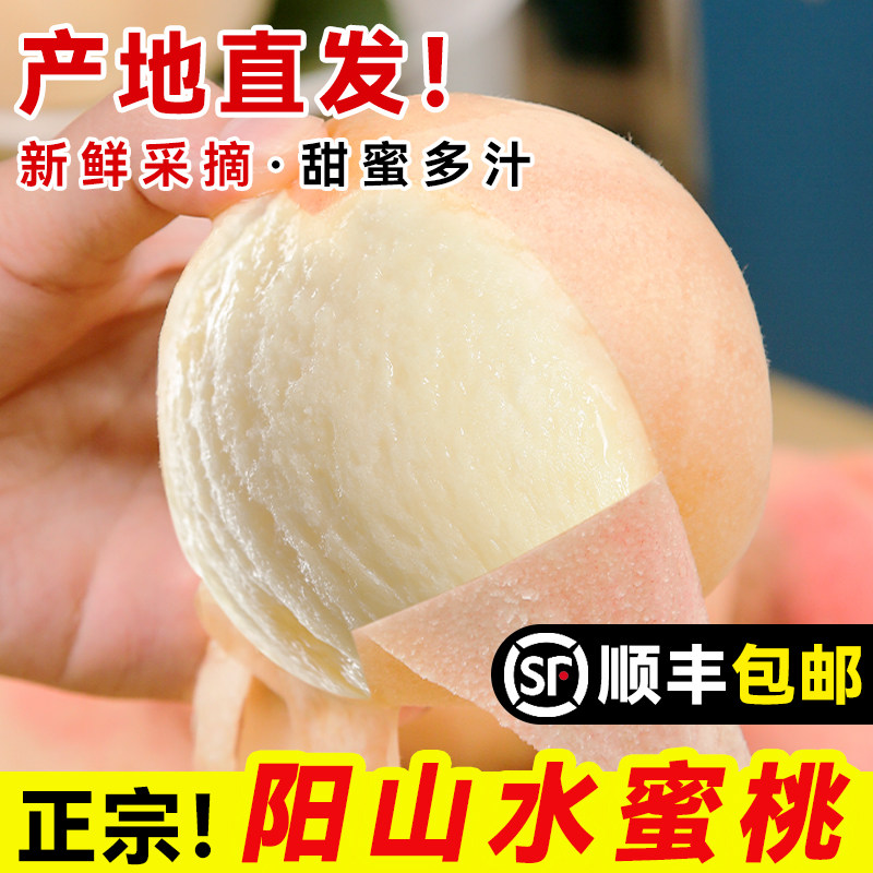 正宗无锡阳山水蜜桃子礼