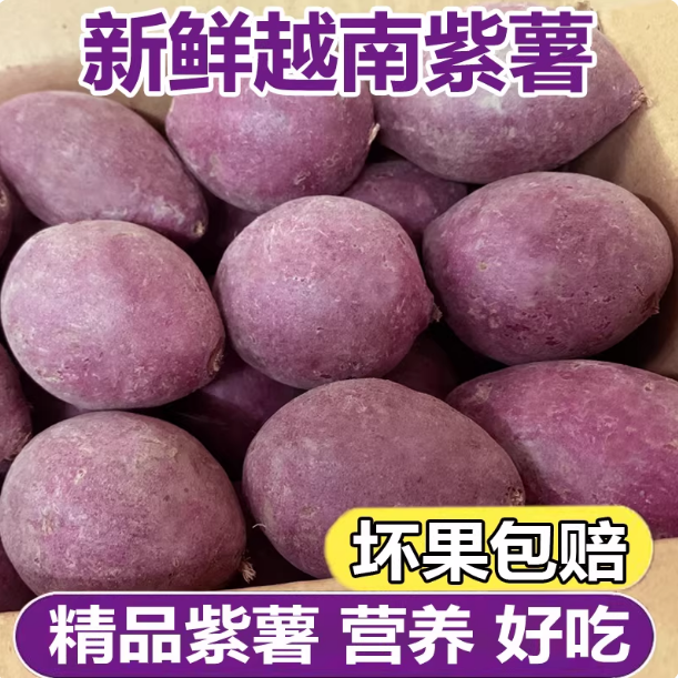 小紫薯紫心红薯粉糯香甜