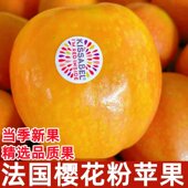 法国进口樱花粉苹果kissabel红肉小众稀奇苹果当季 时令新鲜水果