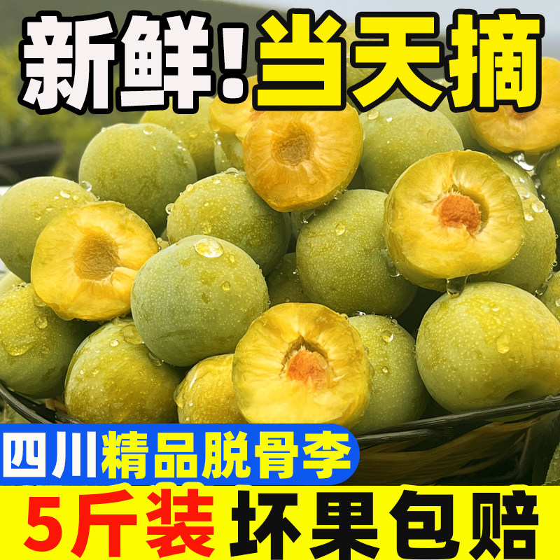 四川青脆脱骨李应季新鲜