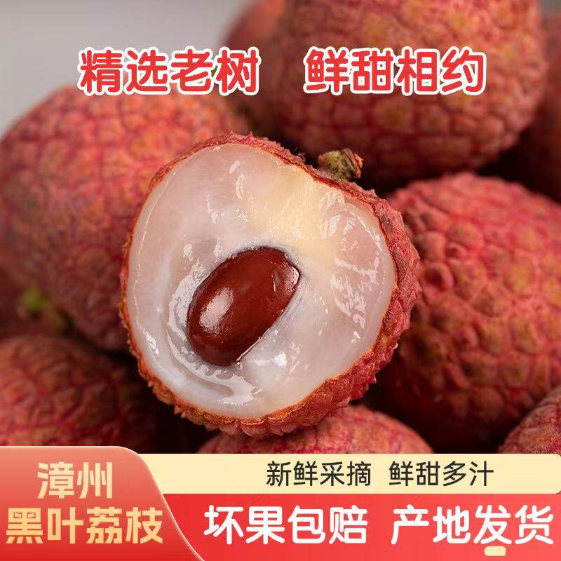 (黑叶荔枝)正宗福建一