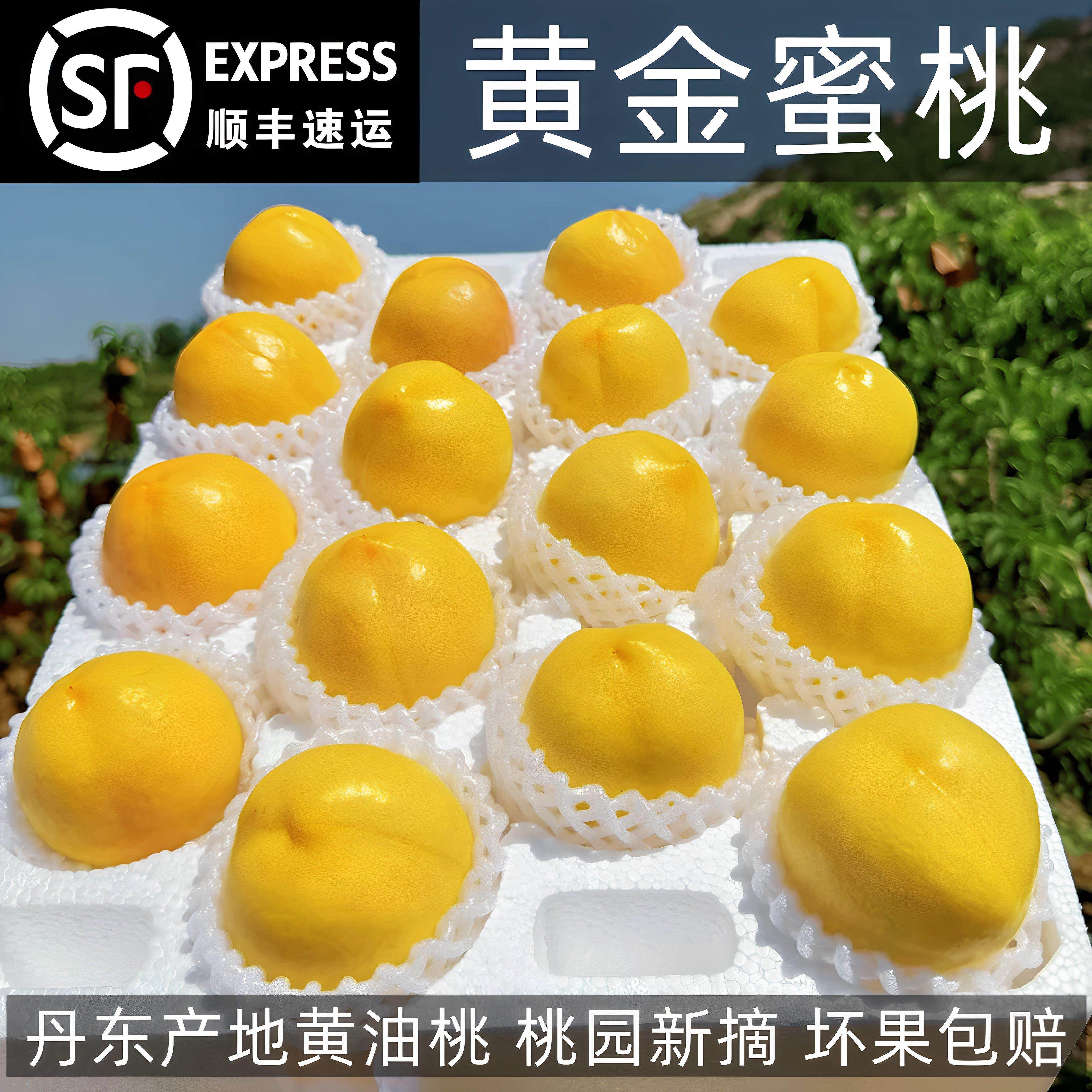 丹东黄金蜜桃芒果桃黄油桃新鲜水果桃子当季现摘现发孕妇水果无毛