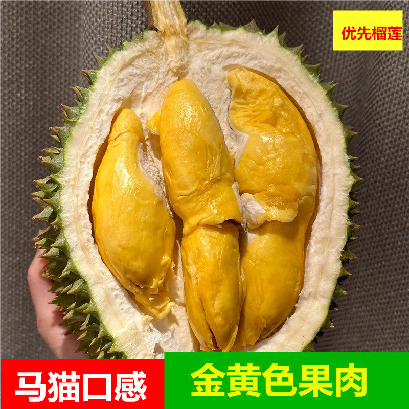 【抢福利托曼尼甲仑】泰