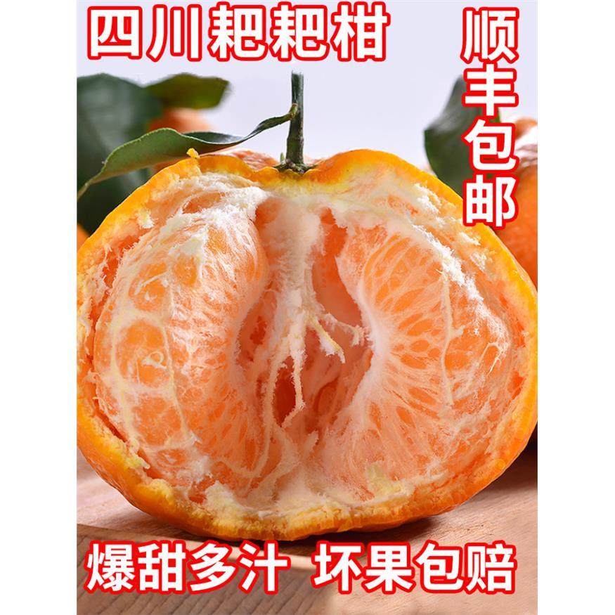 顺丰包邮四川现摘粑粑柑正宗春见耙耙柑新鲜橘子水果应季杷杷柑,包装,水果包装,淘宝优惠券,粉丝福利购,淘宝优惠卷