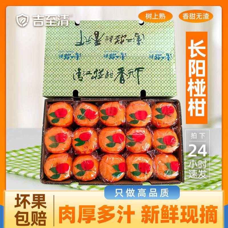 宜昌长阳清江椪柑岩松坪椪柑礼盒桔子芦柑蜜桔橘子新鲜当季水果