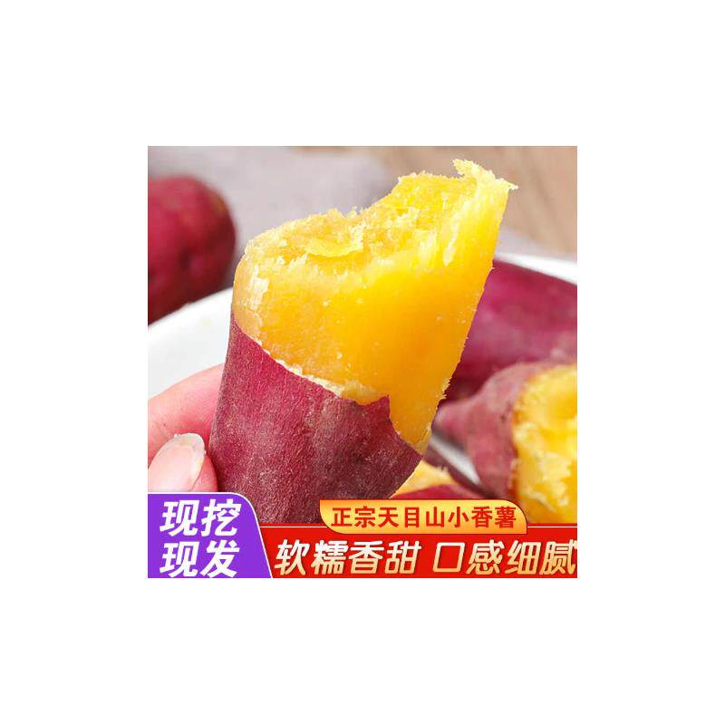 【下单立减50】正宗天目