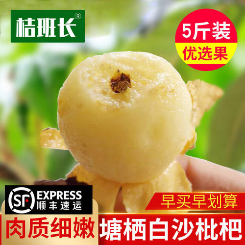 塘栖枇杷白沙孕妇新鲜水