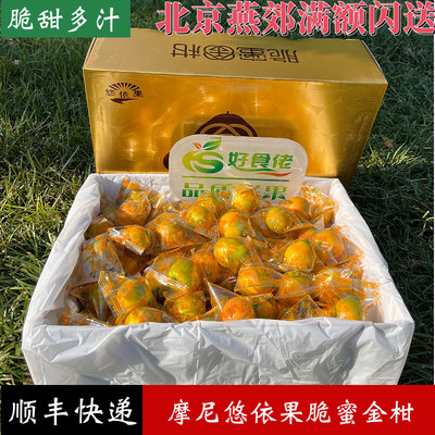 摩尼农品悠依果脆蜜金柑广西融安金桔脆蜜金桔纯甜第三代大金桔