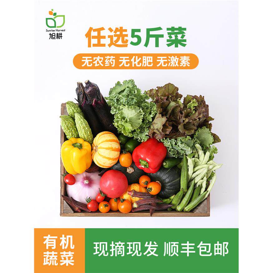 旭耕任选5斤当季时令有