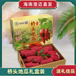 海南澄迈富硒桥头地瓜新鲜沙地红薯板栗薯番薯正宗新鲜农家自种
