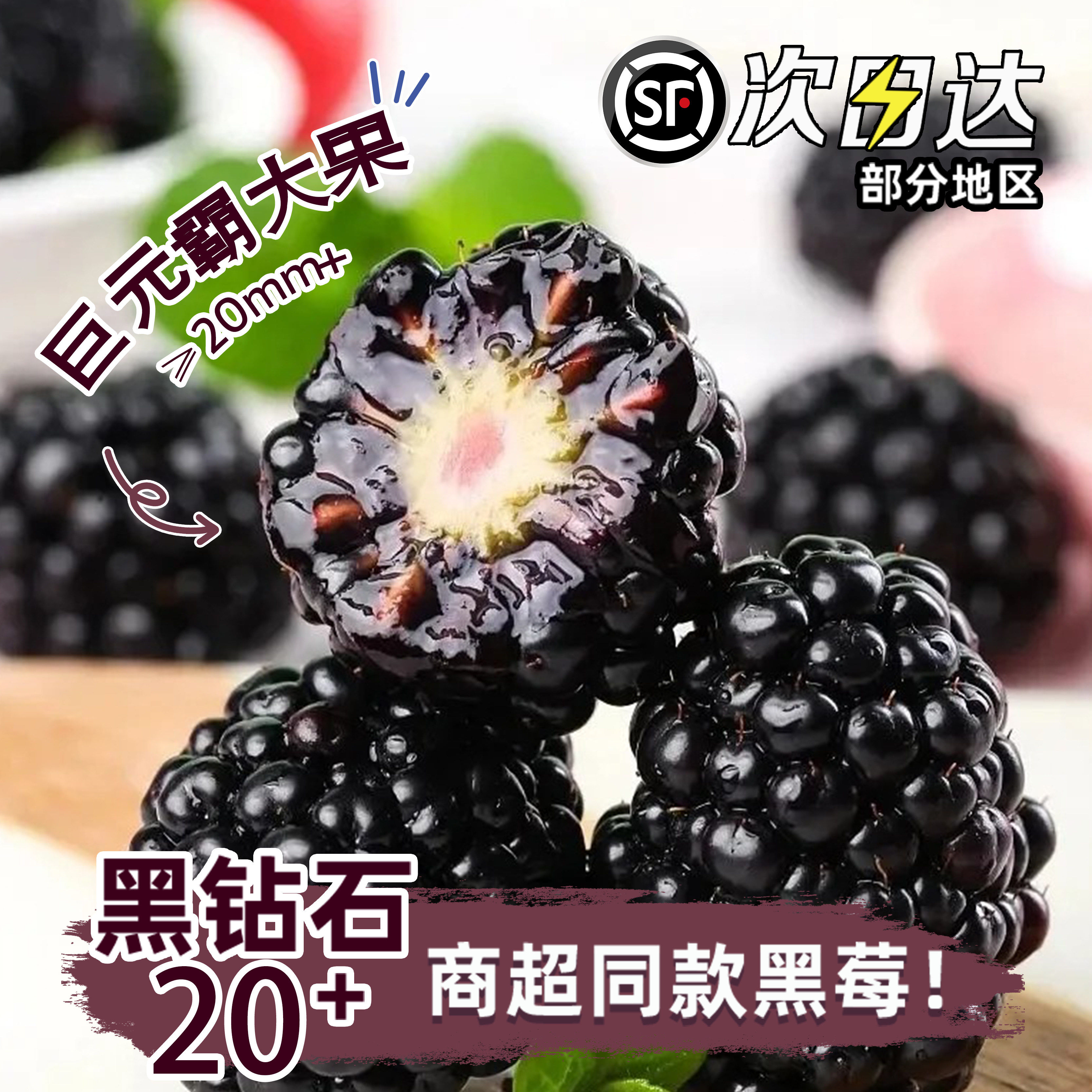 【顺丰次日】云南黑莓当季黑树莓孕妇水果新鲜桑葚覆盆子鲜果整箱