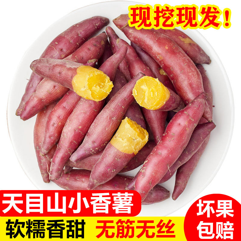 天目山小香薯香甜粗粮正