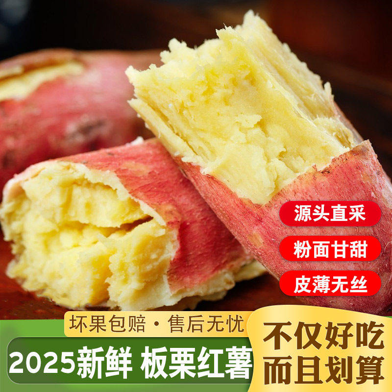 陕西正宗临潼板栗红薯沙地现挖新鲜番薯农家自种小香薯甜山芋地瓜