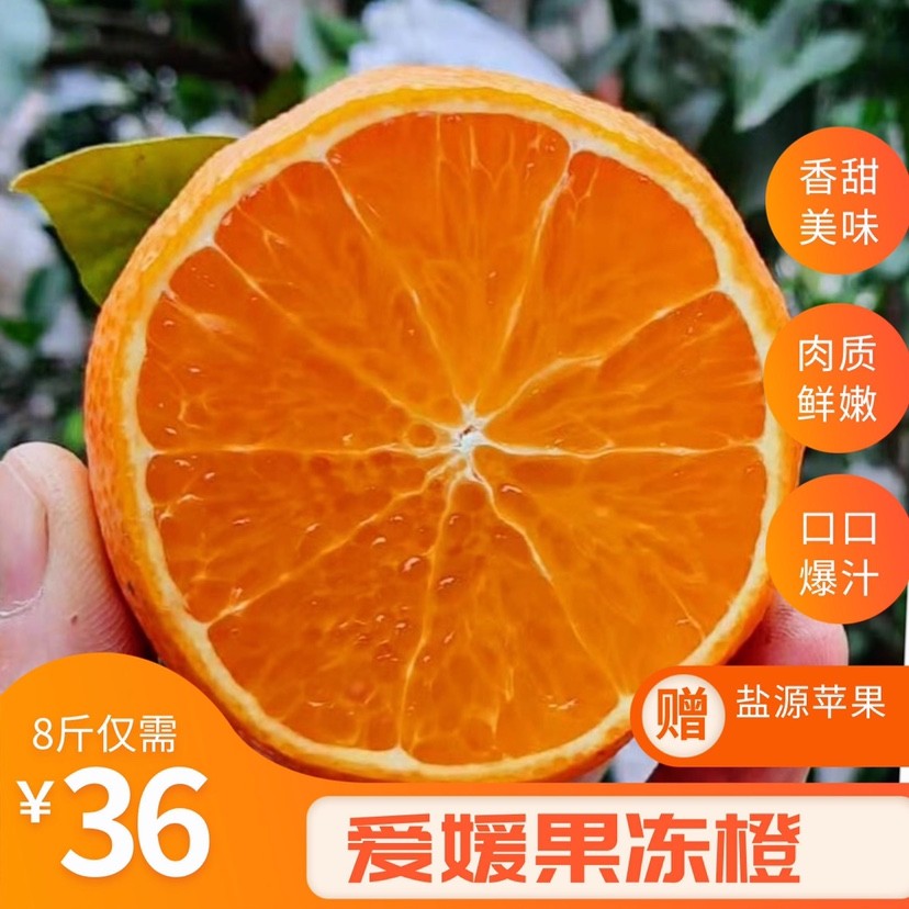 爱媛果冻橙38号红美人新鲜水果四川眉山橙子手剥柑橘果园现摘发