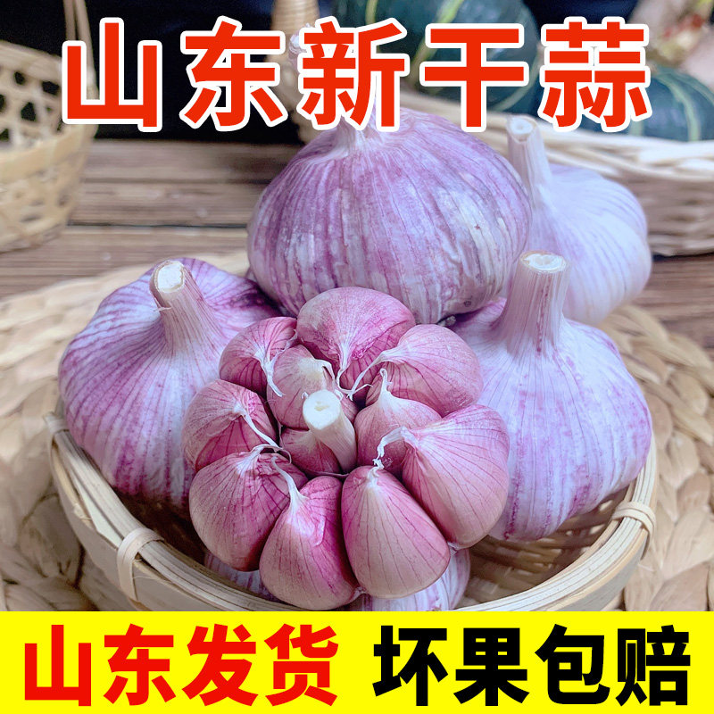 山东金乡紫皮大蒜干蒜头