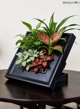 高颜值仿木纹绿植相框花盆摆件