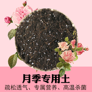 月季玫瑰专用土营养肥土弱酸腐殖质花土养根促花疏松透气花园盆栽