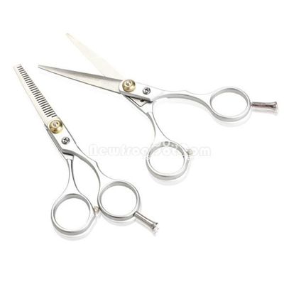 Stainless Steel Hair Salon Regular Cutting Scissor Thinning