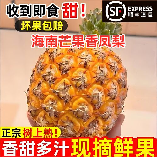 顺丰礼盒海南芒果凤梨大果