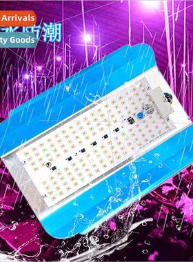 Sunlight plant growth fill light full-spectrum succulent fil