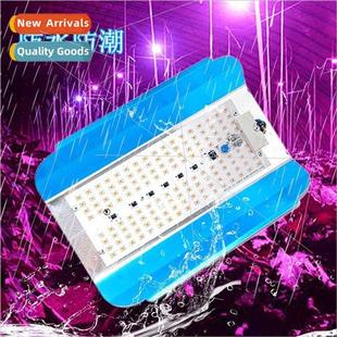 fill light full Sunlight succulent growth spectrum fil plant