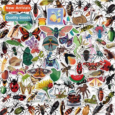 100pcs of insect taxidermy doodle stickers decorative guitar