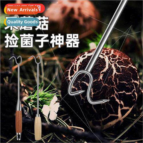 Mushroom picking small rake to find pick up mushroom tools m