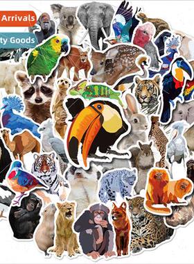 50 animal monkey parrot elephant lion stickers childrens roo