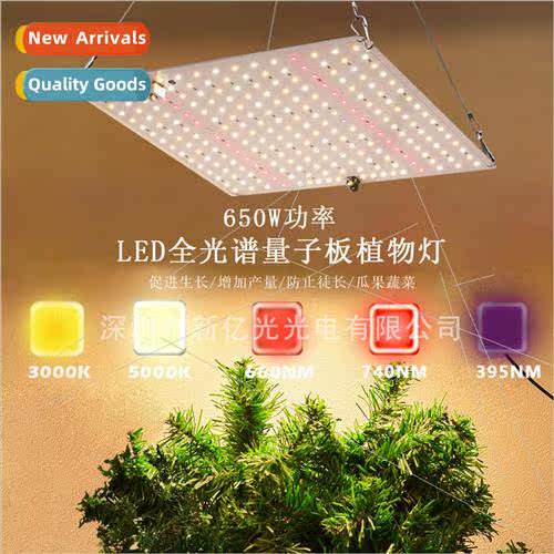 Full Spectrum LED Quantum Plate Plant Light 650W Greenhouse