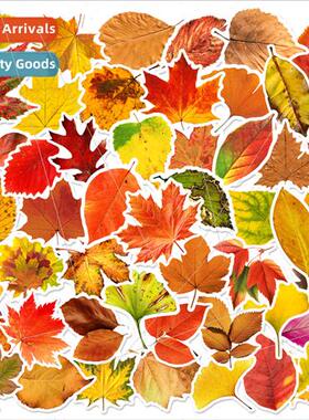 60 new falling leaves graffiti stickers laptop phone case wa