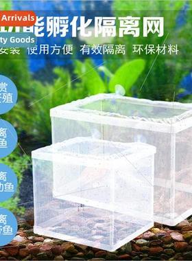 Jeneca/Jeneca Fish Tank Aquarium Hatching Small Fish Isolati