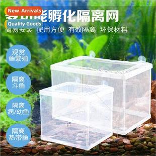 Fish Small Tank Hatching Isolati Aquarium Jeneca
