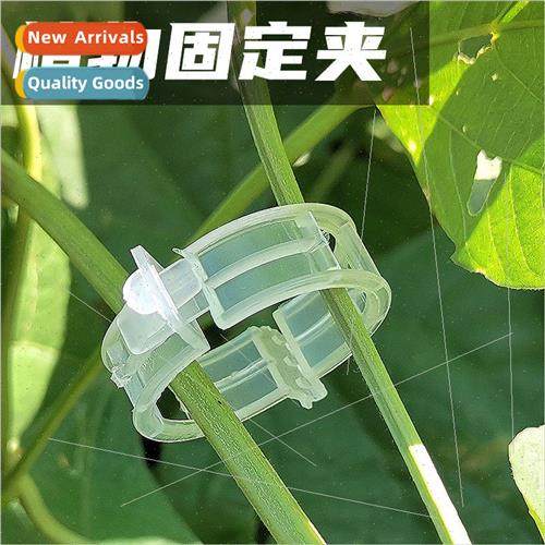 Plant clip hanging seedling clip plastic tie trailing clip t
