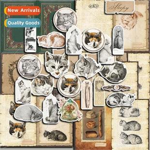 Theme Handbook Pack Material Sti Cat Paper Pattern