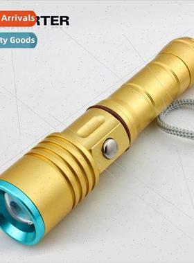 Center metal switch Retractable rustic gold mini zoom flashl