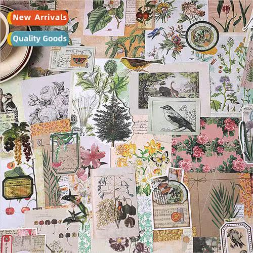 This evening what dream series material package retro plants